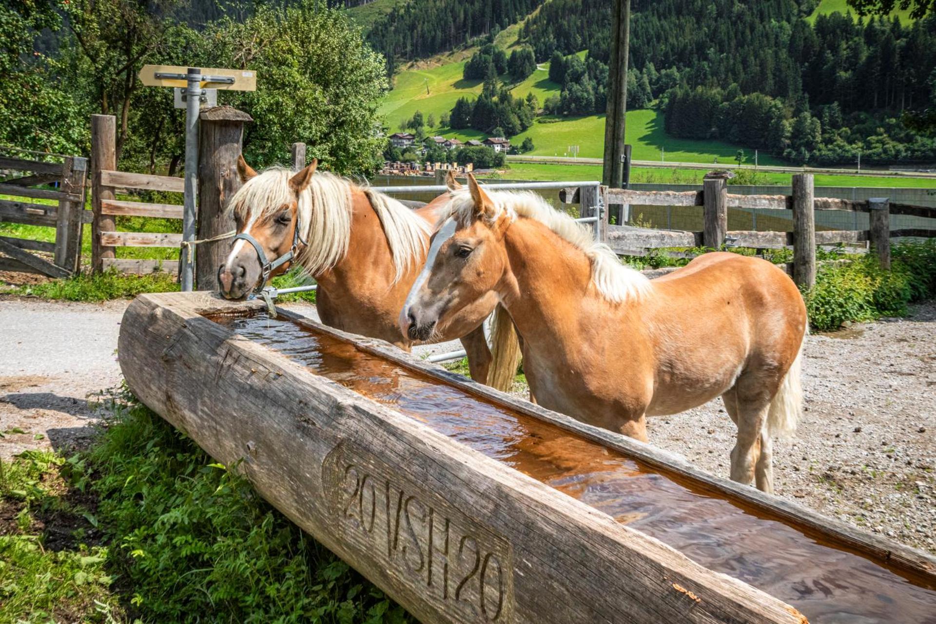 Вилла Schartlhof Флахау Экстерьер фото